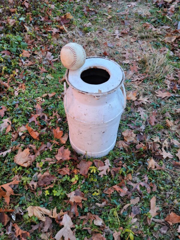 Milk can carnival game